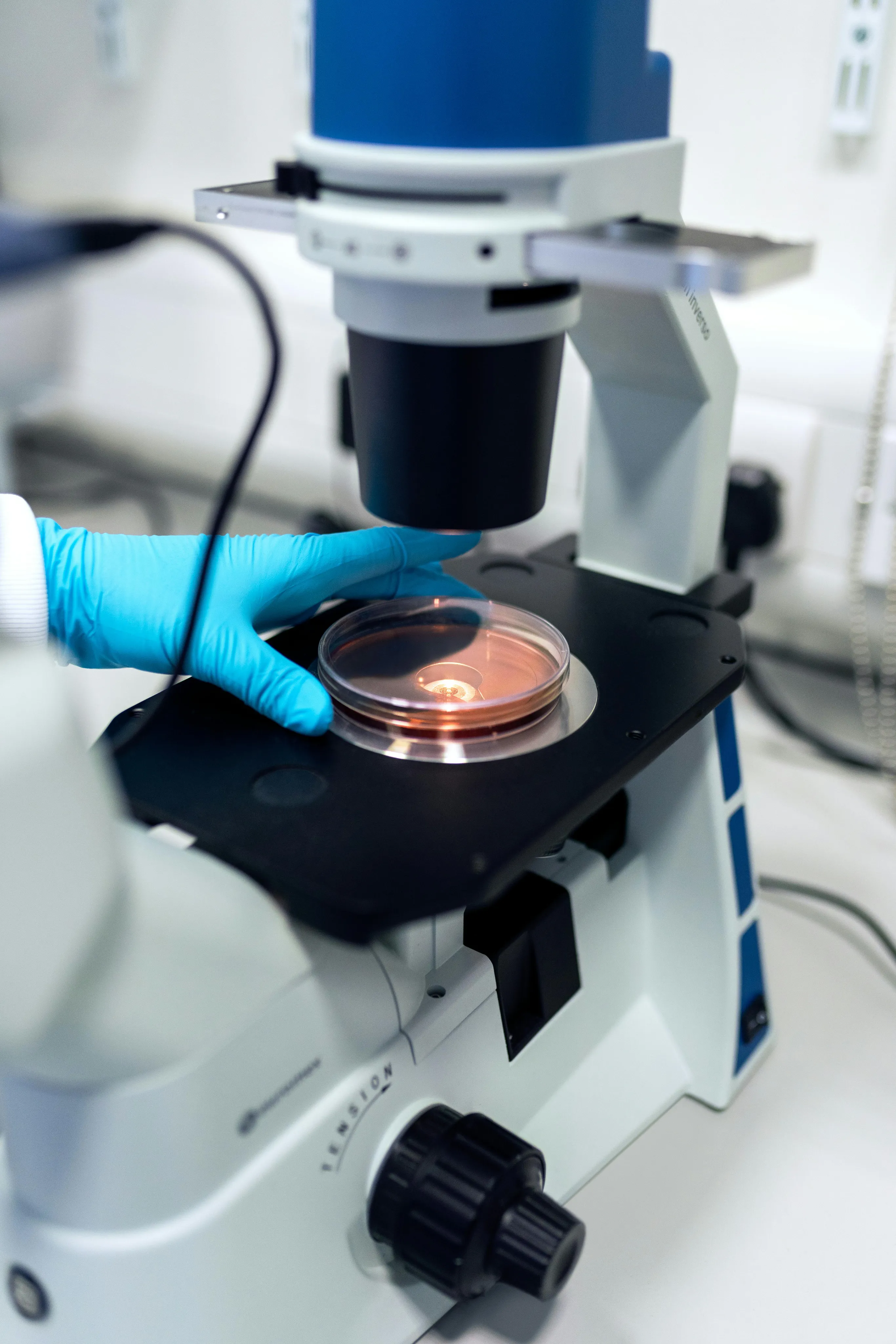Microscope used in Werfen laboratory quality validation
